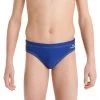 Bañador Niño Natación Slip Nabaiji Azul 100 Basic 2 Bañador Niño Natación Slip Nabaiji Azul 100 Basic -Nabaiji Tienda De Ventas baador nio natacion slip nabaiji azul 100 basic